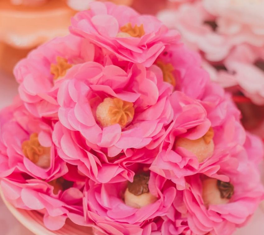 Olho de Sogra Gourmet